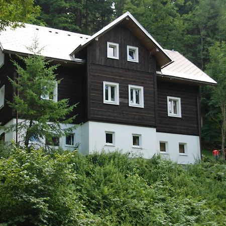 Na Cernem Potoce Villa Rokytnice nad Jizerou Cameră foto