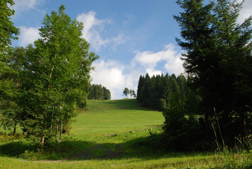Na Cernem Potoce Villa Rokytnice nad Jizerou Exterior foto